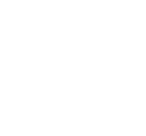 المسكن الفضي-6